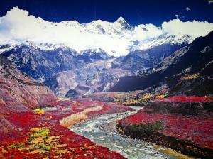 林芝-心灵之旅 西藏